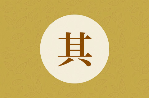 男孩带其字大气名字