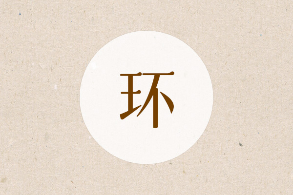男孩名字带个环字