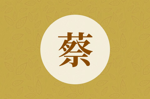 蔡姓男孩名字大全